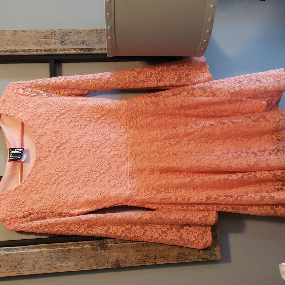 pretty lace lined dress